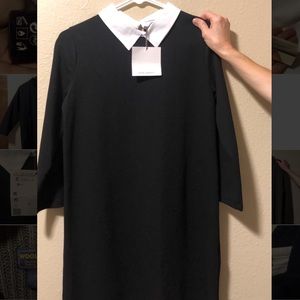 NWT Zara Women’s Long Sleeve Black Dress